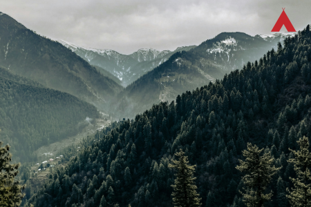 Camping in Jibhi Your Dream Himalayan Escape Awaits