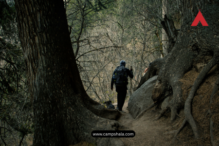 Trekking to kheer ganga himachal pradesh - Camping in Kheerganga